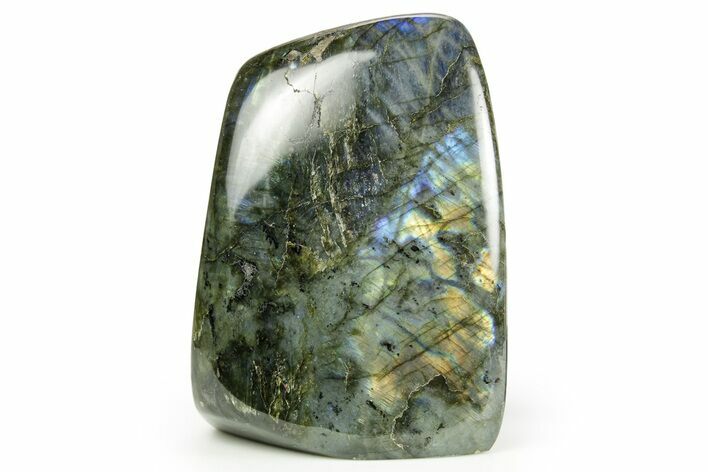 Flashy Free-Standing Polished Labradorite - Madagascar #364180